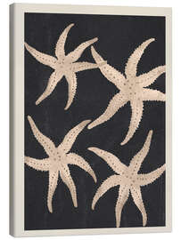 Stampa su tela Starfish Harmony