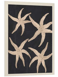 Hartschaumbild Seestern-Harmonie