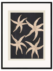 Gerahmter Kunstdruck Seestern-Harmonie