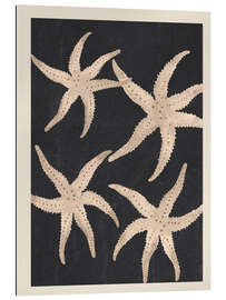 Gallery Print Seestern-Harmonie