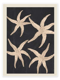 Obraz Starfish Harmony - Branka Kodžoman