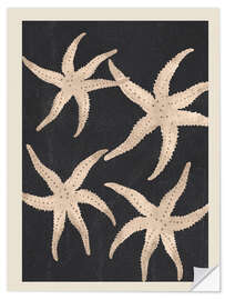 Sticker mural Starfish Harmony