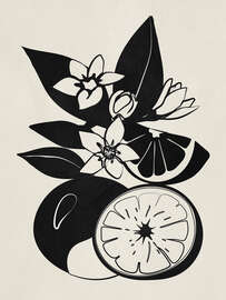 Magnettafel Minimalistische Orangen II