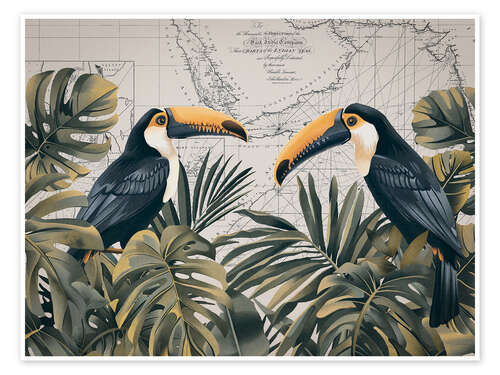 Poster Journey of the Toucans