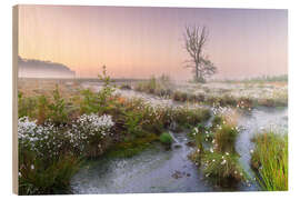 Cuadro de madera Morning mood in the moor - Moqui, Daniela Beyer