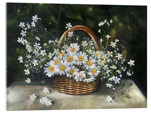 Acrylic print Chamomile