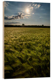 Cuadro de madera Grain field in summer - Manfred Hartmann