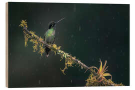Holzbild Kolibri im Regenwald