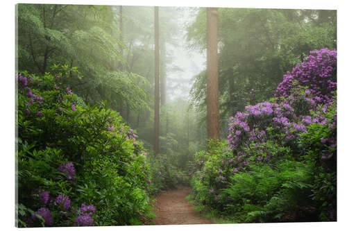 Obraz na szkle akrylowym Path of rhododendron dreams