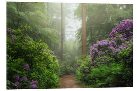 Obraz na szkle akrylowym Path of rhododendron dreams - Martin Podt
