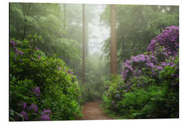 Alubild Weg der Rhododendronträume - Martin Podt