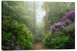 Obraz na płótnie Path of rhododendron dreams - Martin Podt