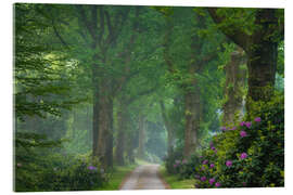 Obraz na szkle akrylowym Path to the mansion - Martin Podt