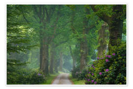 Billede Path to the mansion - Martin Podt