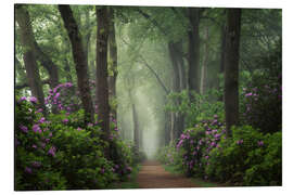 Obraz na aluminium Mystical Path of Rhododendrons - Martin Podt