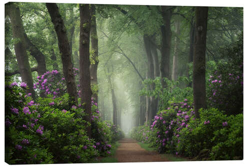 Canvas print Mystical Path of Rhododendrons