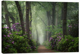 Canvas print Mystical Path of Rhododendrons - Martin Podt