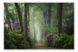 Billede Mystical Path of Rhododendrons - Martin Podt