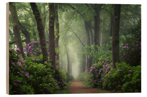 Cuadro de madera Mystical Path of Rhododendrons