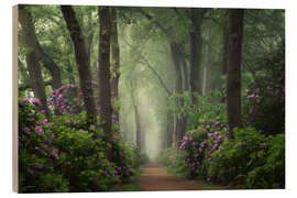 Cuadro de madera Mystical Path of Rhododendrons - Martin Podt