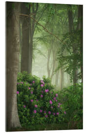 Acrylglasbild Rhododendren im Nebel