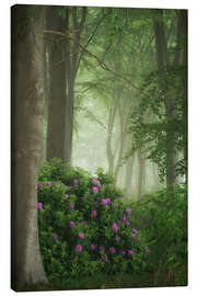 Canvas print Rhododendrons in the mist