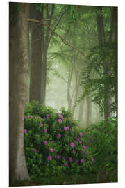 Quadro em PVC Rhododendrons in the mist