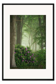 Gerahmter Kunstdruck Rhododendren im Nebel