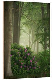 Puutaulu Rhododendrons in the mist
