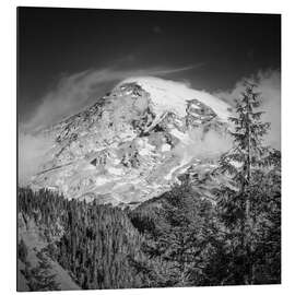 Obraz na aluminium Striking Mount Rainier - Melanie Viola