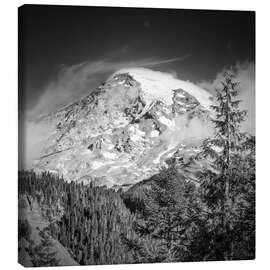 Lienzo Striking Mount Rainier - Melanie Viola