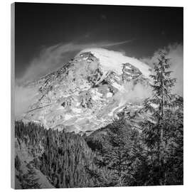 Obraz na drewnie Striking Mount Rainier - Melanie Viola