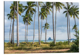 Quadro em alumínio Palm beach on Koh Yao Yai, Thailand