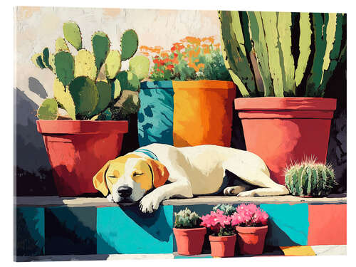 Tableau en verre acrylique Sleeping Dog on a Sunny Terrace