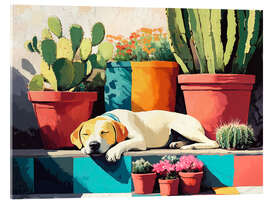 Tableau en verre acrylique Sleeping Dog on a Sunny Terrace - Anastasia Mamoshina