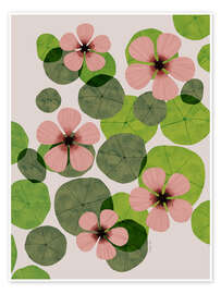 Billede Green water lilies - EL BUEN LIMÒN