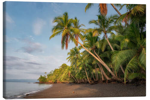 Lienzo On the South Sea beach