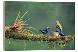 Cuadro de madera Encounter in the tropical forest - André Wandrei