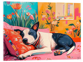 Tableau en verre acrylique Siesta Sleeping Cute Dog