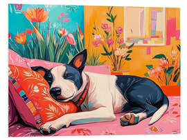 Quadro em PVC Siesta Sleeping Cute Dog
