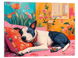 Gallery print Siesta Sleeping Cute Dog