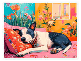 Wall print Siesta Sleeping Cute Dog - Anastasia Mamoshina