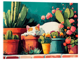 Acrylic print Sleeping Cat on a Sunny Terrace - Anastasia Mamoshina