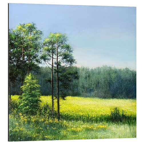 Obraz na aluminium Summer landscape