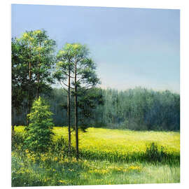 Hartschaumbild Sommerlandschaft