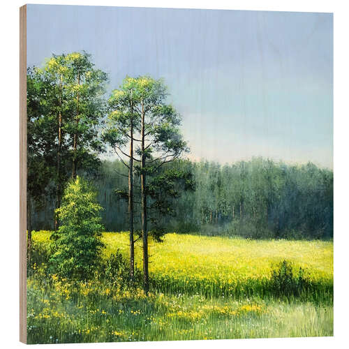Obraz na drewnie Summer landscape