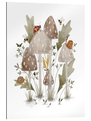 Stampa su plexi-alluminio Funghi e coleotteri