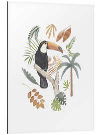 Aluminium print Toucan Jungle - Urchin Bay