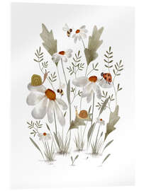 Acrylglasbild Käfer auf Gänseblümchen