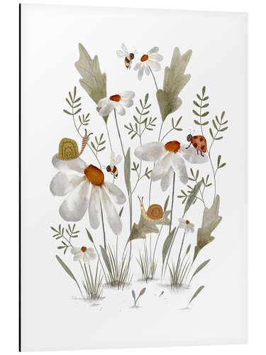 Aluminium print Bugs on daisies